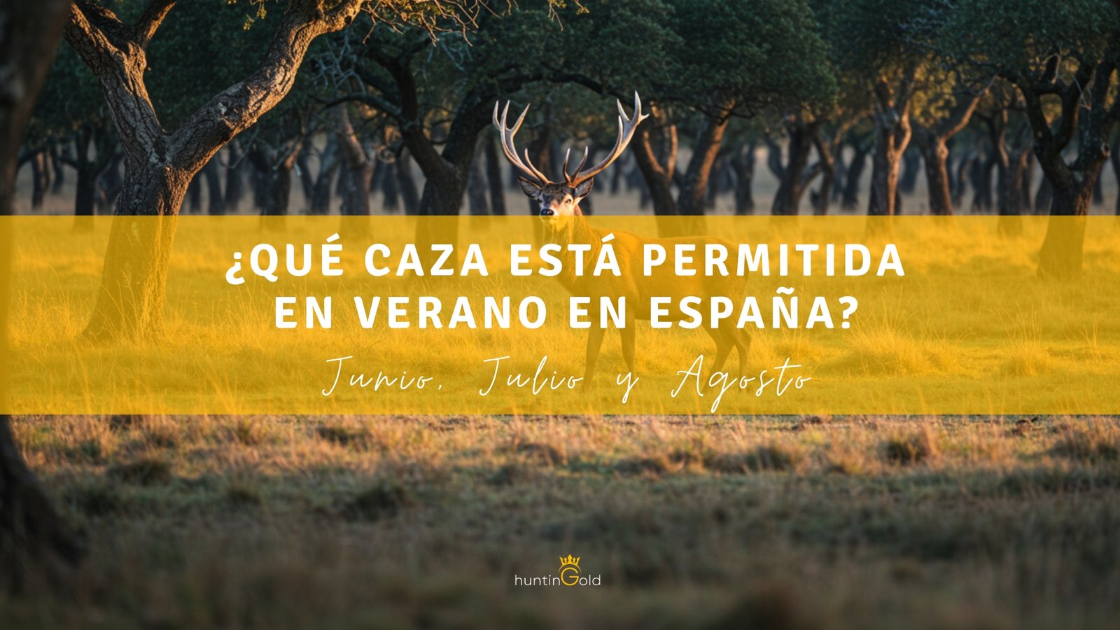 Qué caza está permitida en verano en España