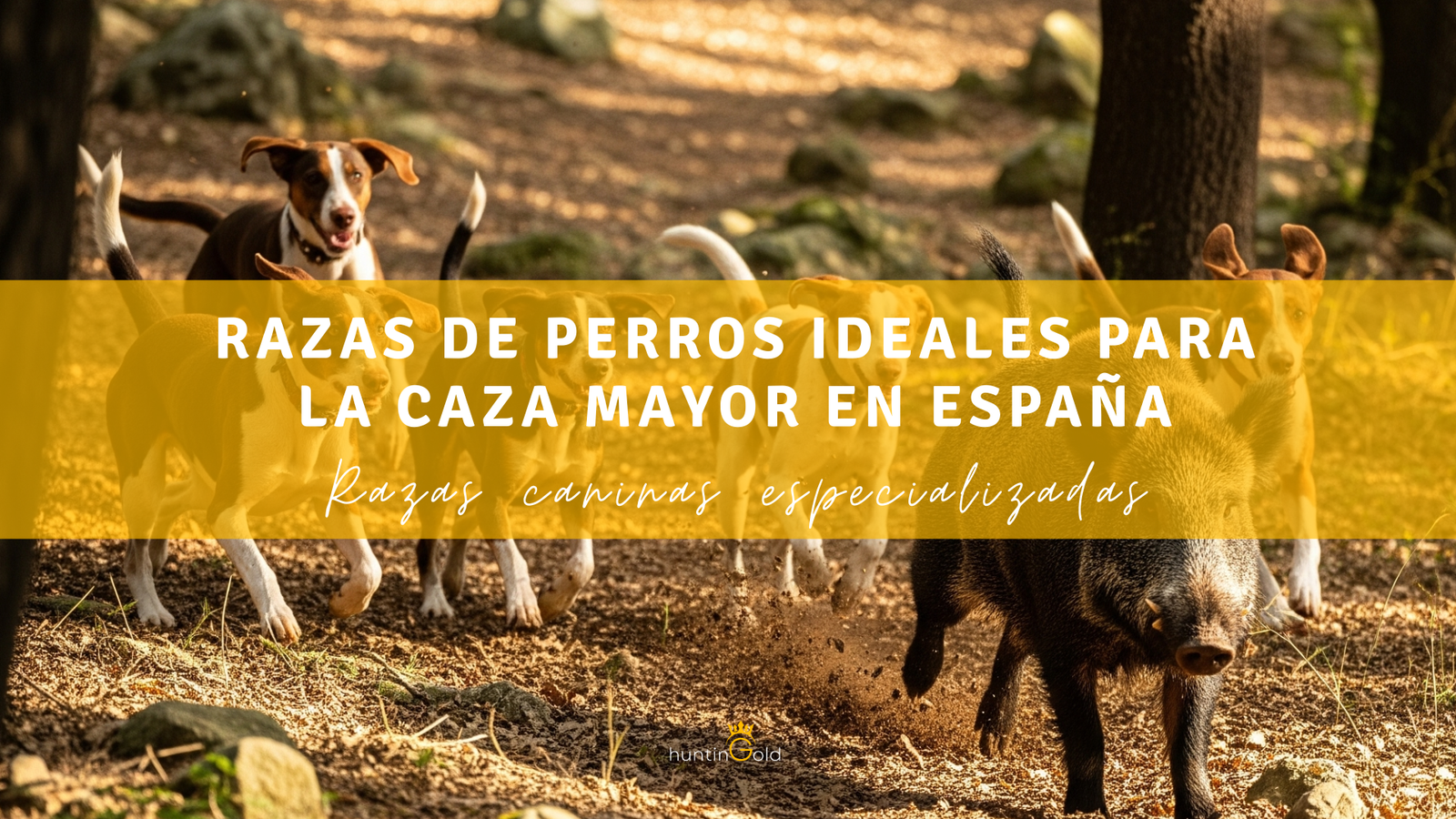 raza de perro para caza mayor